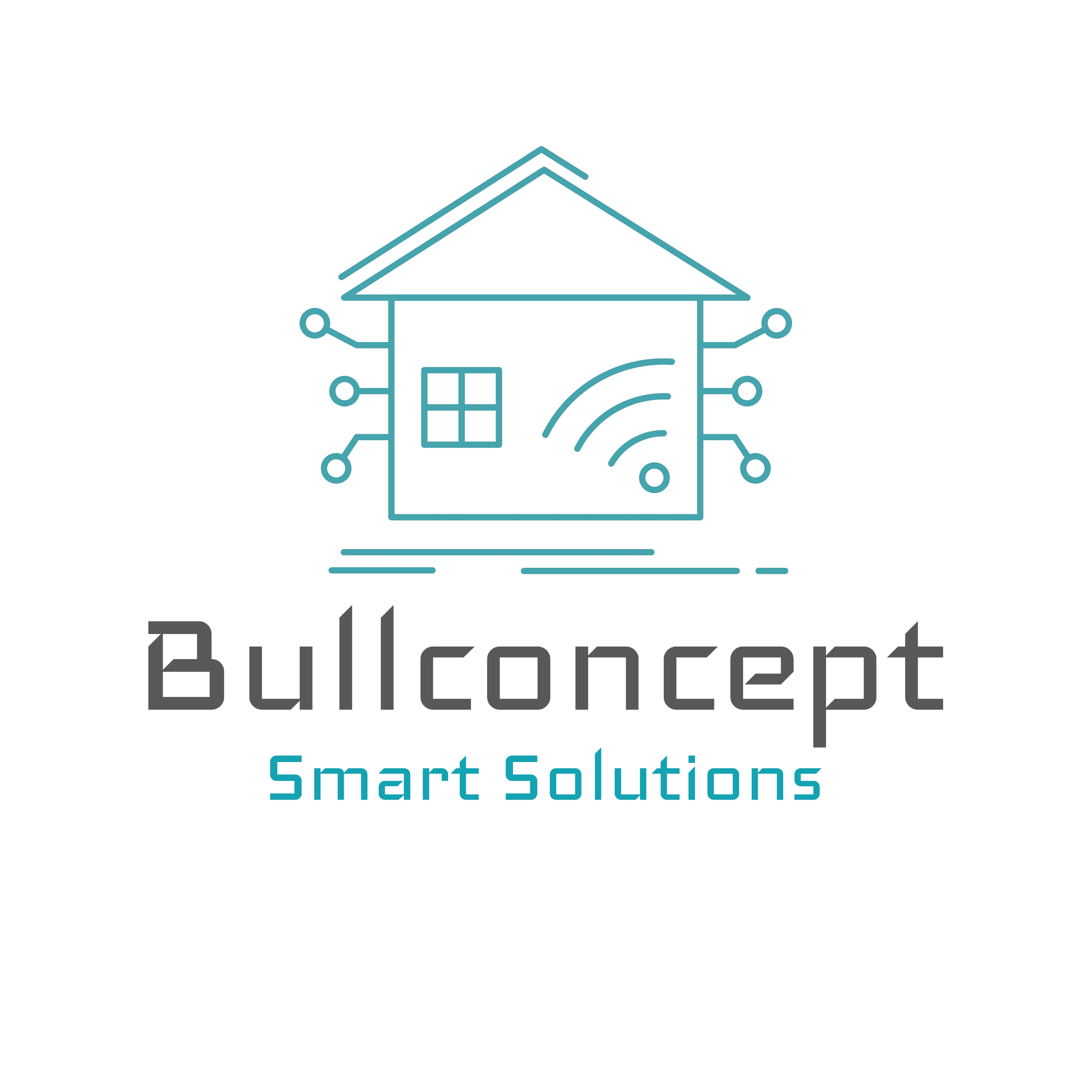 Bullconcept